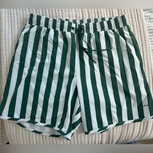 Green and White Striped Men's Swim Board Shorts